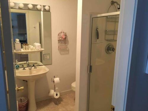 a bathroom with a sink and a shower at Cozy Lakefront with Beach of your own! in Franklin