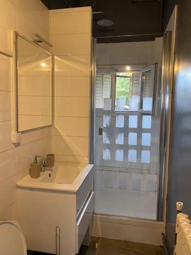 une salle de bain avec un lavabo, une douche et des toilettes dans l'établissement Fun & Detente F3 60m2 pour 6 personnes - Paris Porte de la Villette, à Aubervilliers