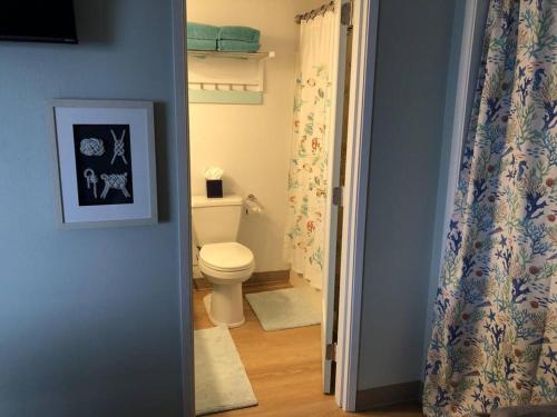 łazienka z toaletą i zasłoną prysznicową w obiekcie Sommer Place - in the heart of Long Beach w mieście Long Beach