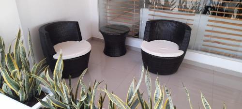 drie zwarte krukken in een kamer met een plant bij SALINAS PLAZA HOTEL in Manaure