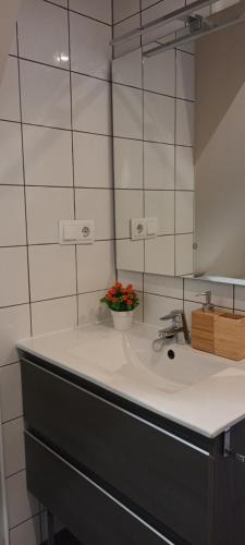 La salle de bains est pourvue d'un lavabo et d'un vase de fleurs. dans l'établissement La Casona del Asno, à Alcalá de Henares