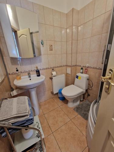 a bathroom with a sink and a toilet and a mirror at Boutigue city house with terrace and garden free parking in Riga