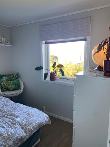 Un dormitorio con una cama y una ventana con una planta en Råket 3 en Viggja