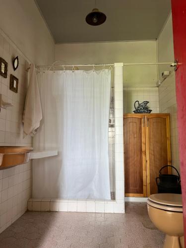 a bathroom with a white shower curtain and a toilet at Casa Vieja Mountain Lodge 