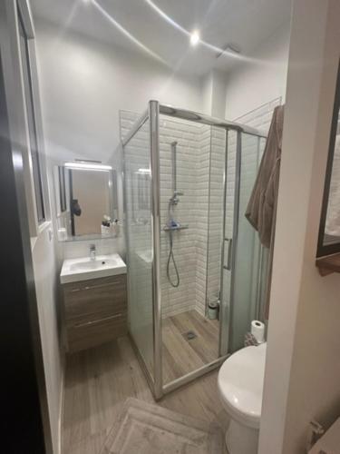 une salle de bain avec une douche, des toilettes et un lavabo dans l'établissement Studio PARIS 75010, à Paris