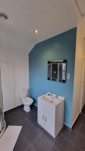 a bathroom with a toilet and a sink and a blue wall at Luxury double room with kitchen facilities in Nottingham