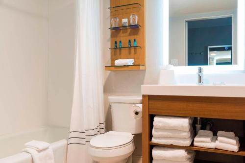 Delta Hotels by Marriott Grand Rapids Airport في غراند رابيدز: حمام به مرحاض أبيض ومغسلة