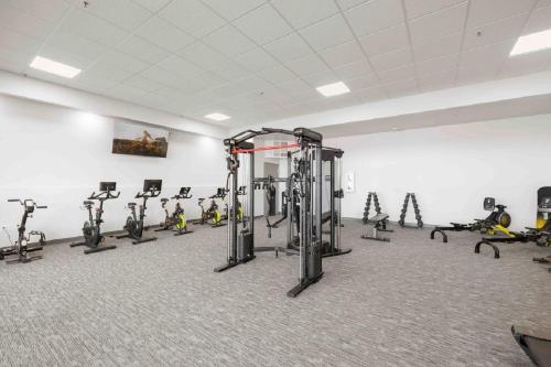 a gym with rows of exercise bikes in a room at Badger Den: 1mi.Snow College~ Wash/Dryer~Climb in Ephraim