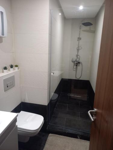 a bathroom with a shower and a toilet at Studio luxury casablanca in Casablanca
