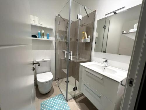 a bathroom with a toilet and a sink and a shower at Apartamento en San Sebastián in Añorga-Lugariz