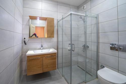 uma casa de banho com um chuveiro, um lavatório e um WC. em Historic 1 Bedroom Galata Apt-Heart of Istanbul Kuledibi 2 em Istambul