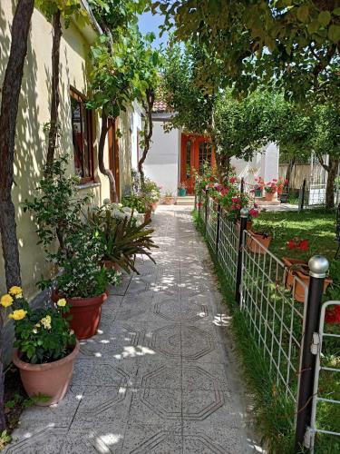 a walkway with potted plants next to a building at Kristina Mitllari 2 in Pogradec