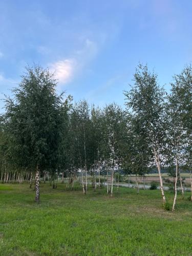 Zahrada ubytování Brzozowe zacisze