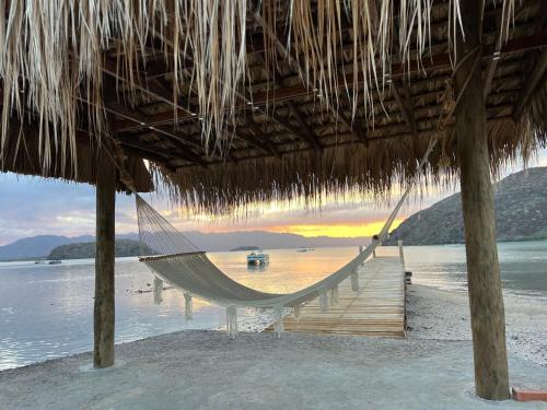 a hammock under a straw hut on a beach at Playa Posada Eco Rooms in Punta Arena
