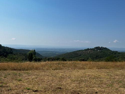 a field of grass with mountains in the background at Podere La Casa in Villa dʼArceno