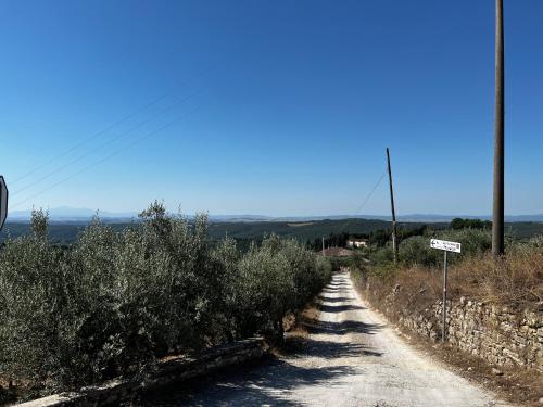 a dirt road with bushes on the side at Podere La Casa in Villa dʼArceno
