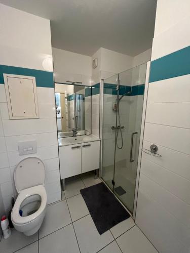 a bathroom with a toilet and a glass shower at Appartement proche de paris in Saint-Cloud
