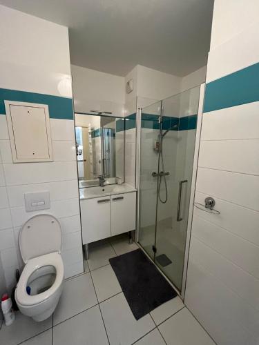 une salle de bain avec toilettes et douche en verre dans l'établissement Appartement proche de paris, à Saint-Cloud