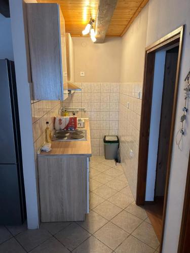 Apartment Roko - Ribnica – Photos 3