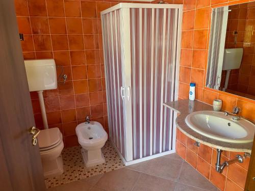 a bathroom with a sink and a toilet and a shower at Masseria degli Alberti in Mormanno