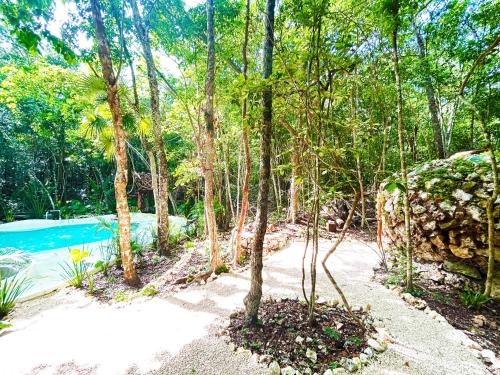 a pool in the middle of a forest with trees at Ikalar in Akumal