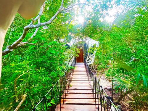 a bridge in the middle of a forest with trees at Ikalar in Akumal