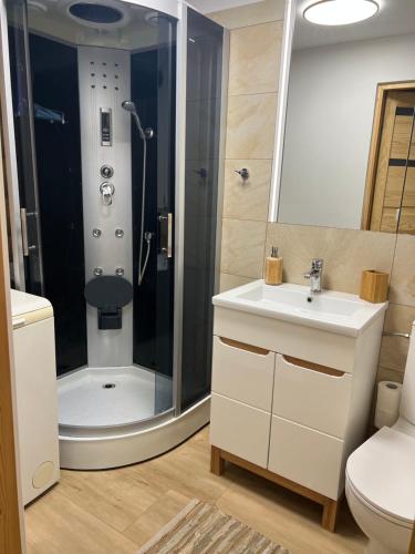 a bathroom with a shower and a sink and a toilet at Ranczo Borówka in Łapanów