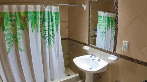 La salle de bains est pourvue d'un lavabo et d'un rideau de douche. dans l'établissement Atalaya, à Salta
