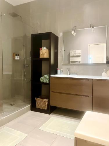 une salle de bain avec un lavabo, une douche et un miroir dans l'établissement Grand T3 rénové climatisé - Coeur de Montpellier, à Montpellier