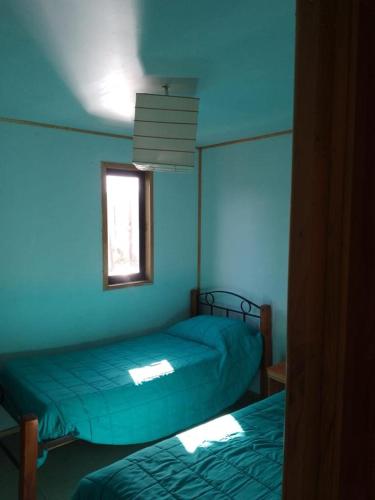 Acogedora cabaña matanzas في نافيداد: سريرين في غرفة بجدران زرقاء ونافذة