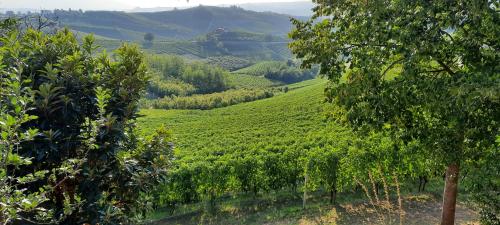 Cà Trifolera Barbaresco - Appartamento per 2 o 4 persone immerso nei vigneti - Free Parking Wi-Fi -