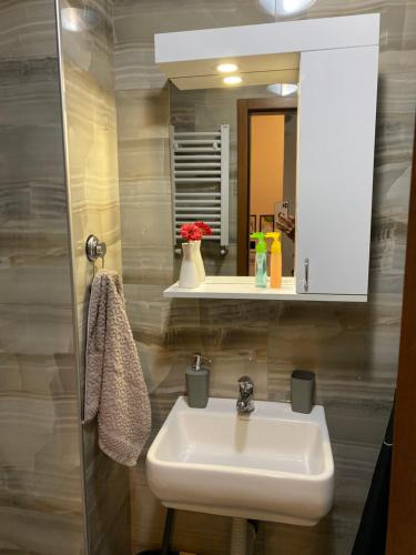 a bathroom with a sink and a mirror at Family Home Niš , FREE parking in Niš