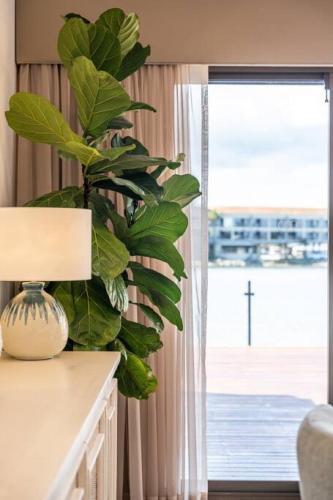a plant sitting on a counter next to a window at La Brisa Waterfront Family Home Beach WiFi in Grange