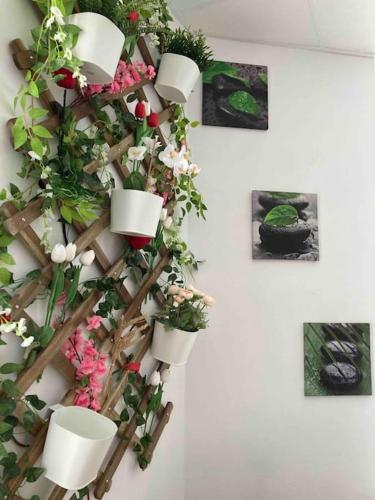 un mur avec des plantes en pot sur un mur avec des photos dans l'établissement Black & White Harmony, à Belfort
