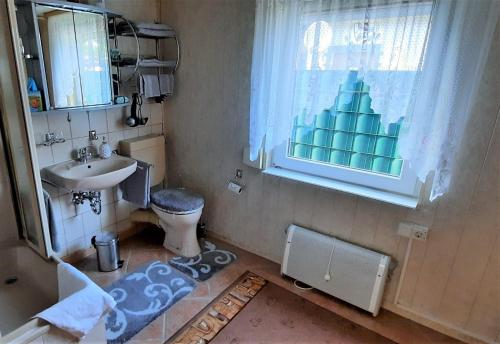 a bathroom with a sink and a toilet and a window at Haus-Dannigkow in Dannigkow