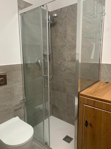 W łazience znajduje się prysznic, toaleta i umywalka. w obiekcie Giomein appartamento sulle piste , CIR 0280 w mieście Breuil-Cervinia