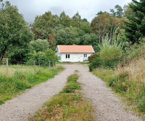 a dirt road leading to a white house at Cozy studio near sea, forest and town in Brastad