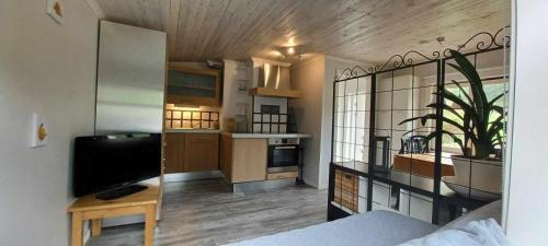a room with a bed and a tv and a kitchen at Cozy studio near sea, forest and town in Brastad
