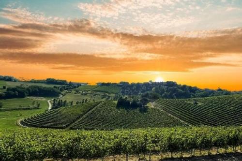 La Culla Tra I Vigneti – Photos 4