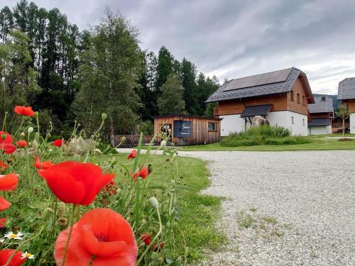 a barn with red flowers in front of a building at Premium Tauernstyle Golling in Mariapfarr