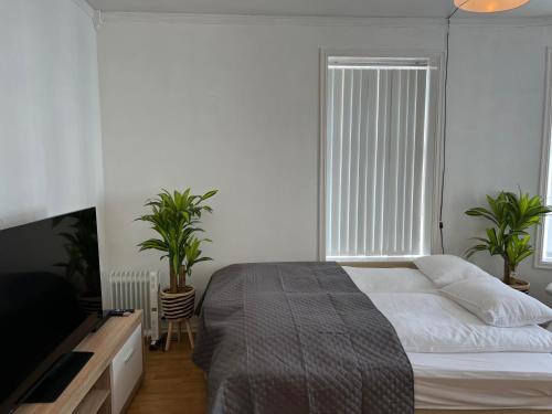a bedroom with a bed and a window with plants at Apartment in Ålesund city center (Storgata) in Ålesund