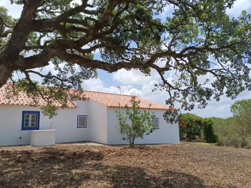 a large white building with a tree in the foreground at Monte Alentejano - Melides in Melides