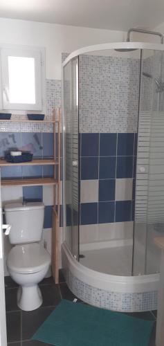 een badkamer met een toilet en een douche bij L'Escale Cotinarde in La Cotinière