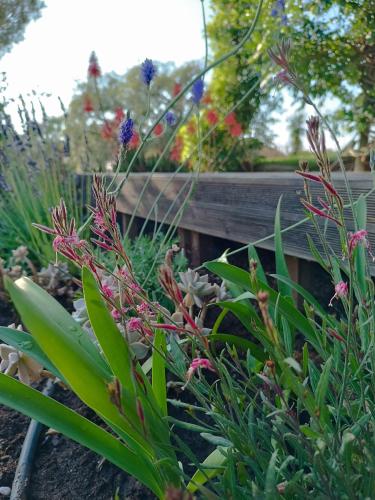 a garden with flowers and a wooden bench at Monte Alentejano - Melides in Melides