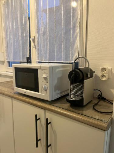 un four micro-ondes installé au-dessus d'un comptoir de cuisine dans l'établissement Appartement T1 Côté jardin à Thionville, à Thionville