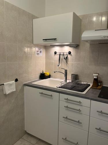 a kitchen with a white sink and a white cabinet at Appartement T1 Côté jardin à Thionville in Thionville