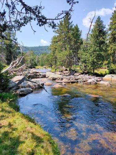 a river in the woods with rocks and trees at Chalet Isard Pyrénées 2000 - 300m des pistes in Bolquere Pyrenees 2000