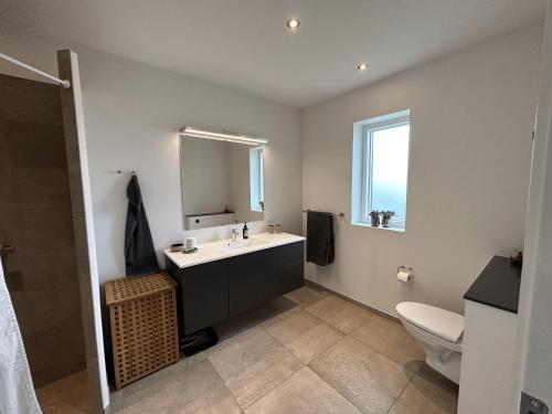 ein Badezimmer mit einem Waschbecken, einem WC und einem Spiegel in der Unterkunft Casa Jakobsen in Randers