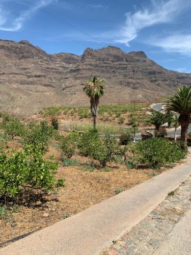 a road in the desert with palm trees and mountains at Hotel Masai Mara Resort Gran Canaria in San Bartolomé de Tirajana