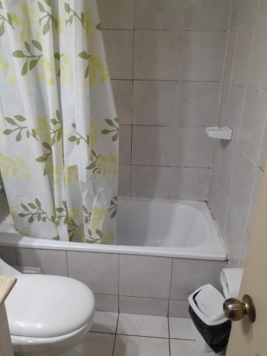 a bathroom with a toilet and a shower curtain at Apartamento tipo estudio acogedor entre metro católica y baquedanono in Santiago